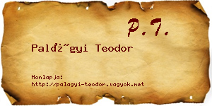 Palágyi Teodor névjegykártya